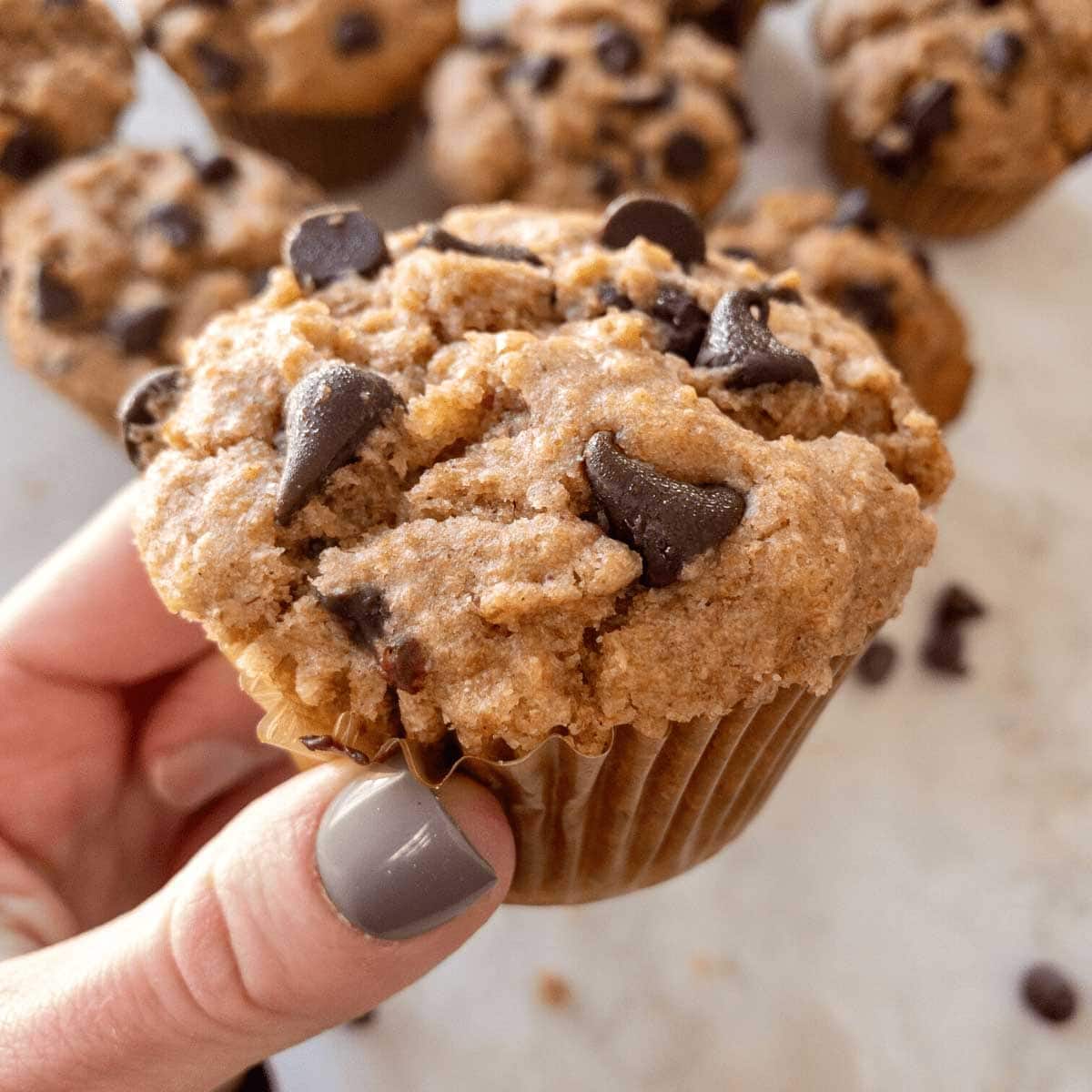 hand holding a GF banana chocolate chip muffin