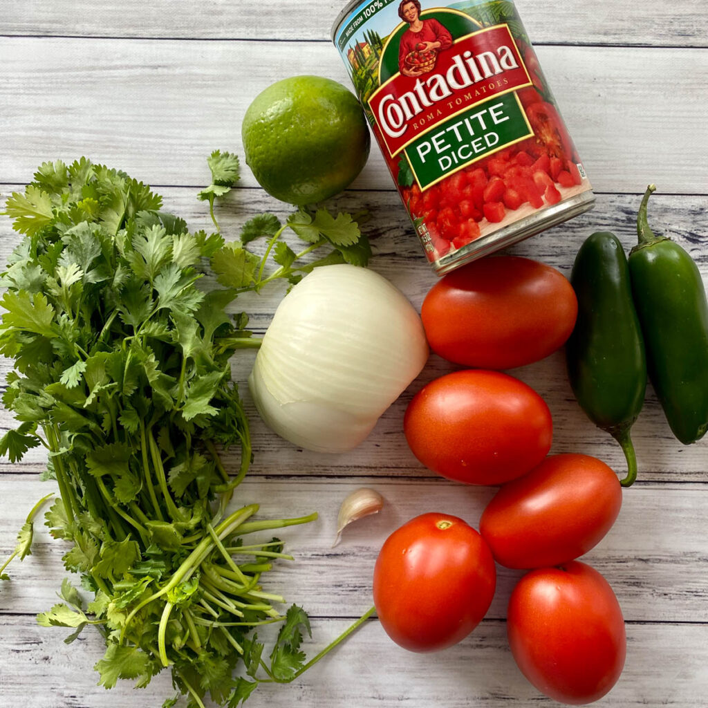 homemade garden fresh salsa ingredients