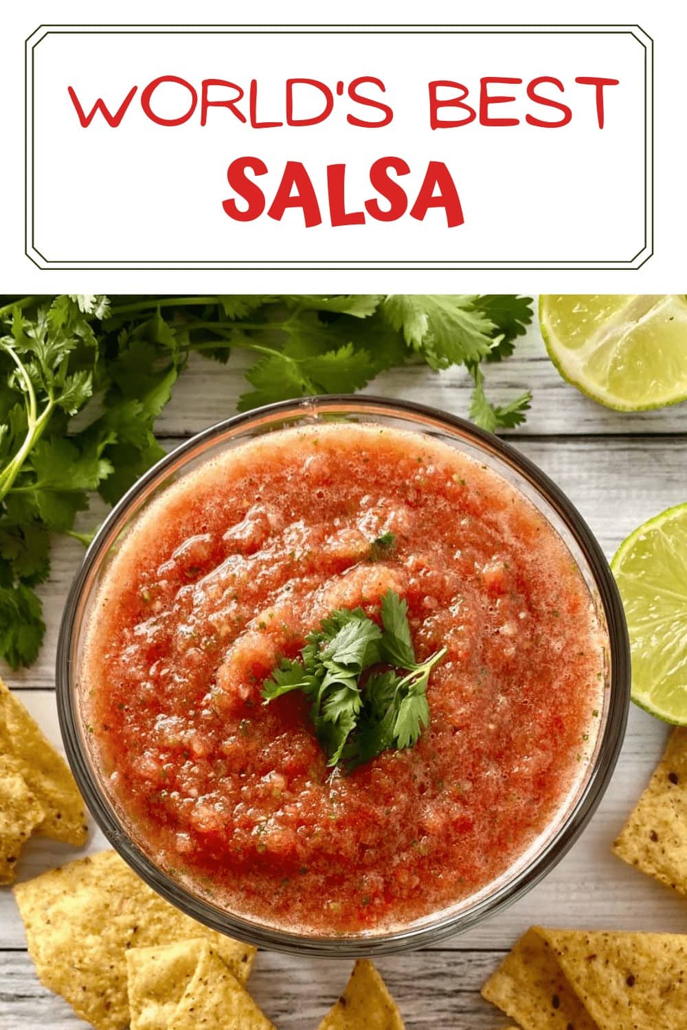 homemade best salsa ever