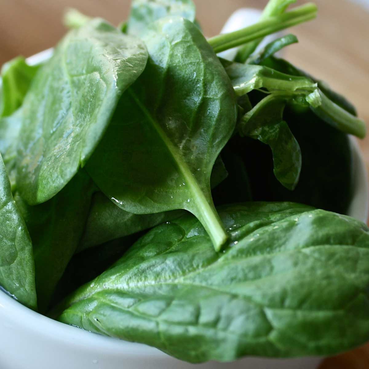 close up of baby spinach.