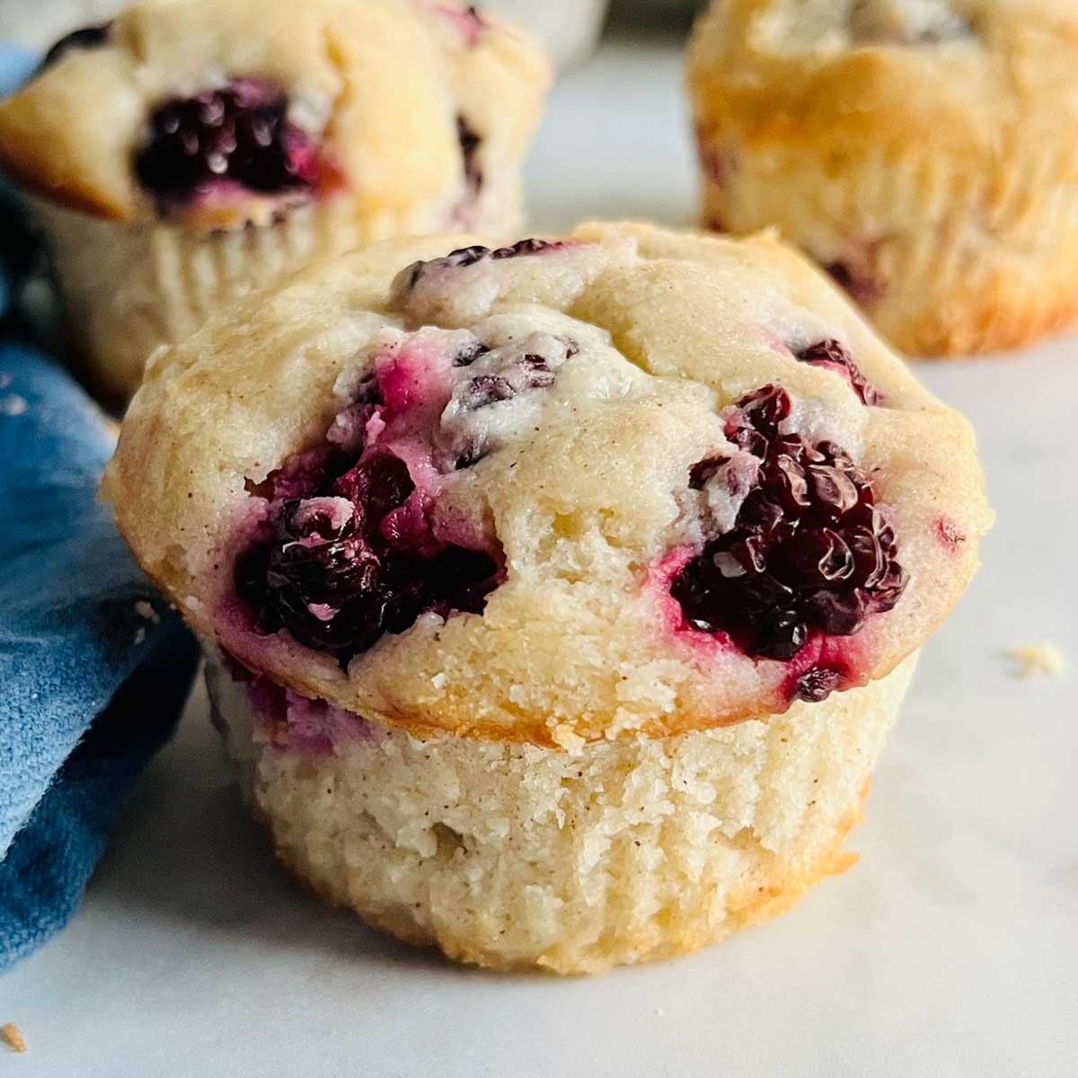 close up of a gluten free blackberry muffin with 2 muffins behind it