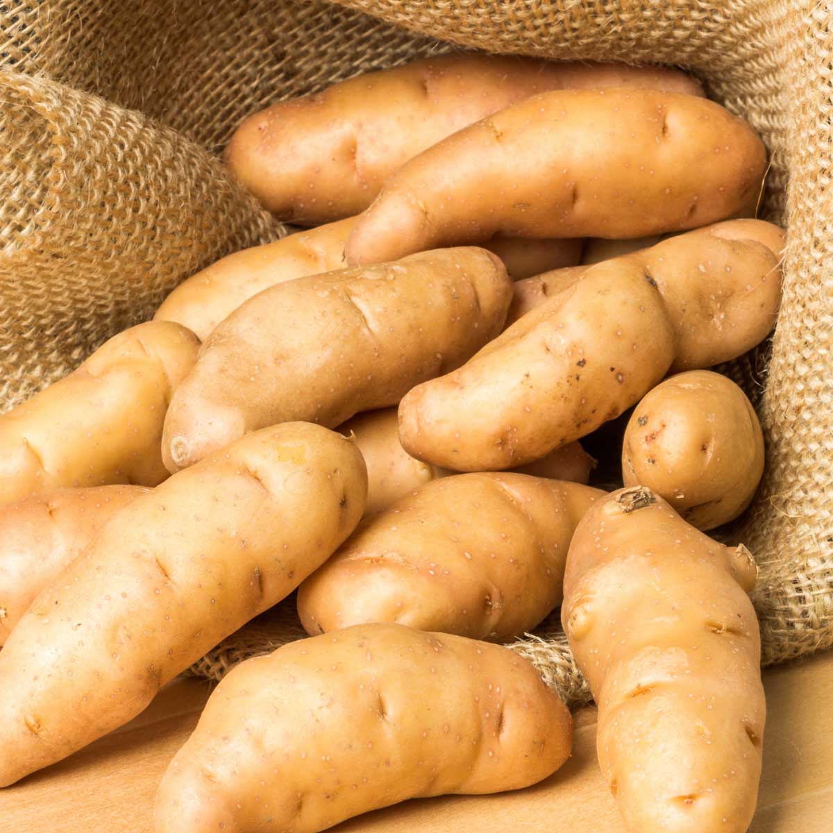 closeup of fingerling potatoes.