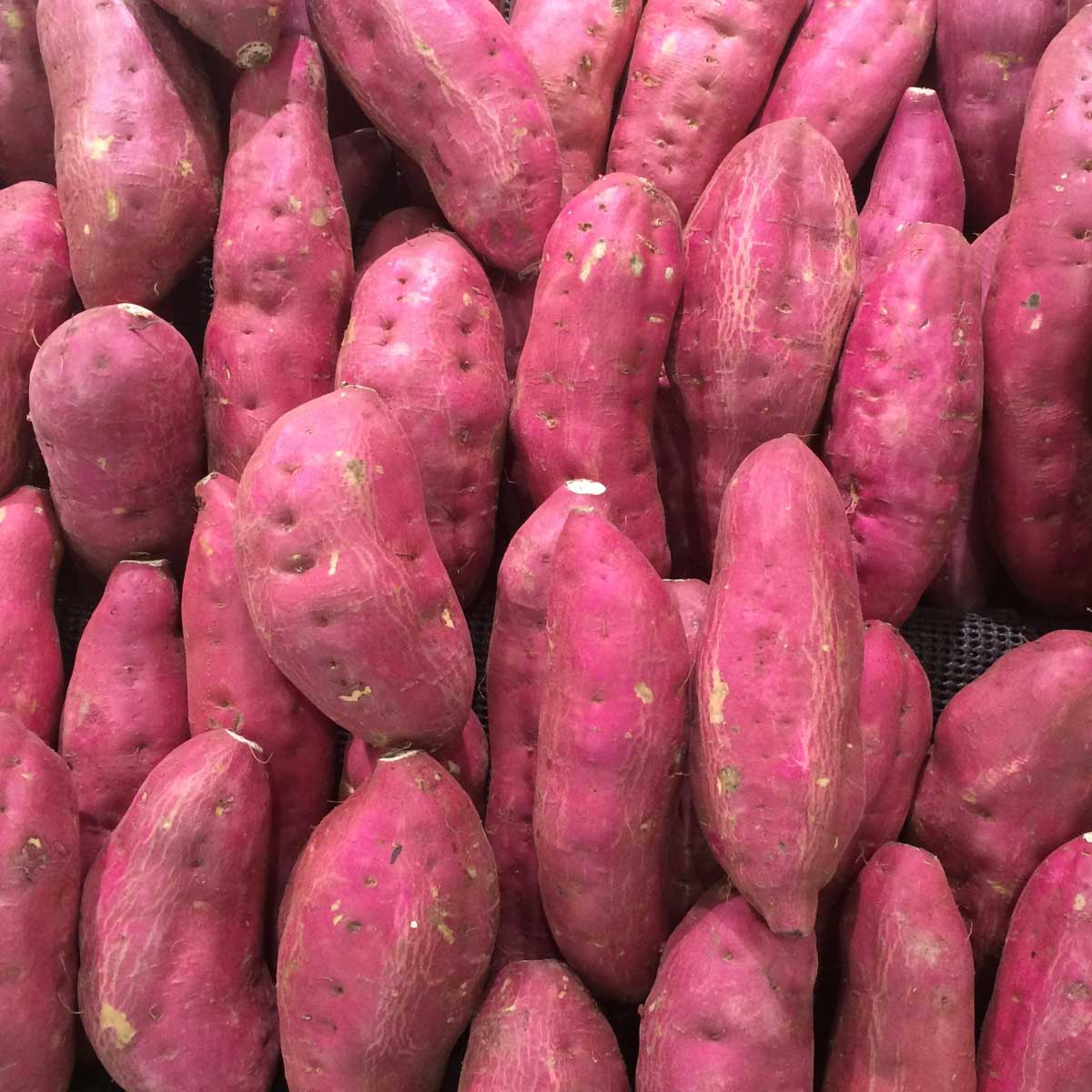 closeup of purple potatoes.